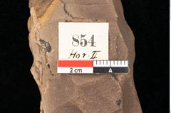 Foto (Detailsansicht) von Quercus palaeoilex Ettingshausen (NHMW-GEO-2024-0188-0854)